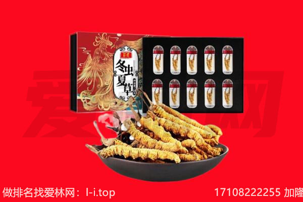 抚州金溪县回收虫草.jpg